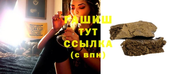 гашик Дмитров
