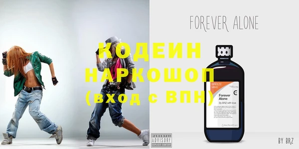 дживик Гусь-Хрустальный