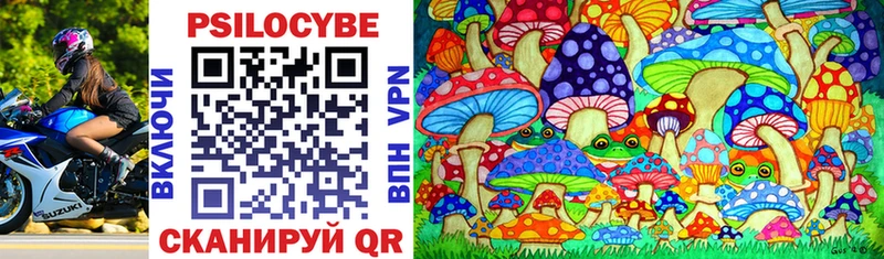Купить  Саки  Псилоцибиновые грибы мухоморы 